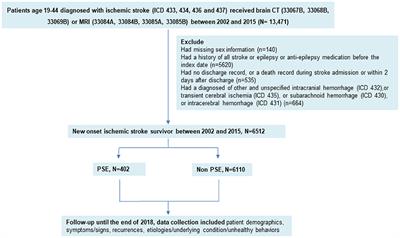 Risk Factors for Postischemic Stroke Epilepsy in Young Adults: A Nationwide Population-Based Study in Taiwan